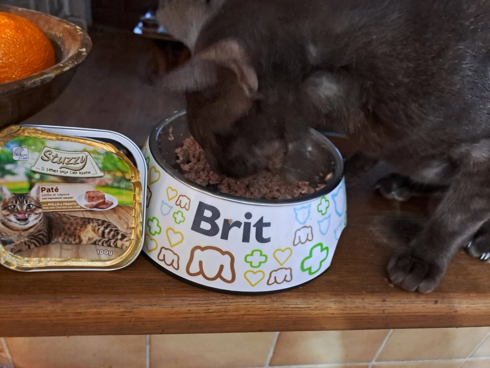 Stuzzy Cat vanička pro kočky Adult paté kuřecí játra 100 g
