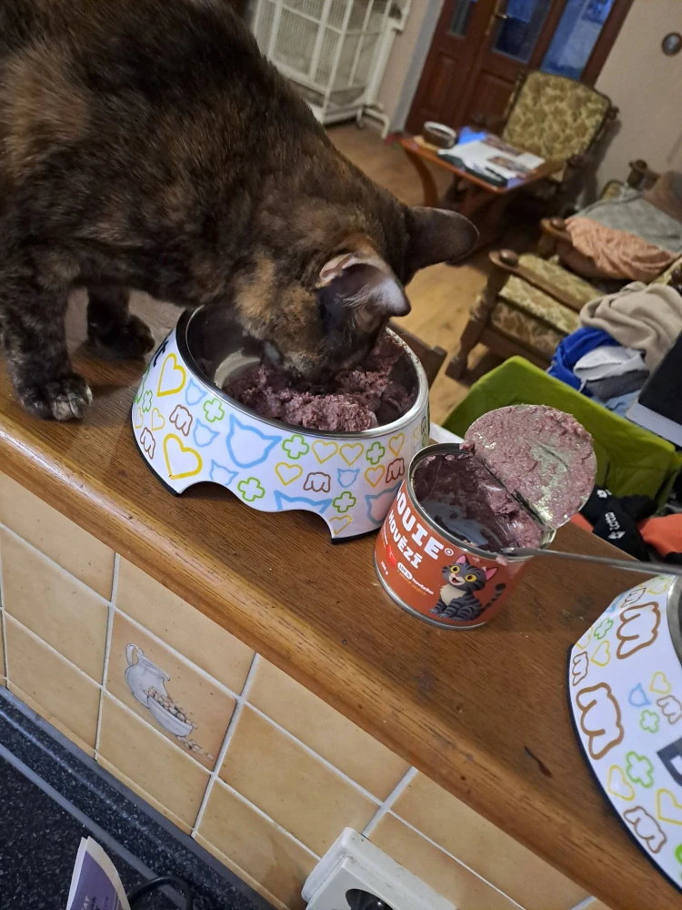 Louie Cat konzerva pro kočky s hovězím a prebiotiky 200 g