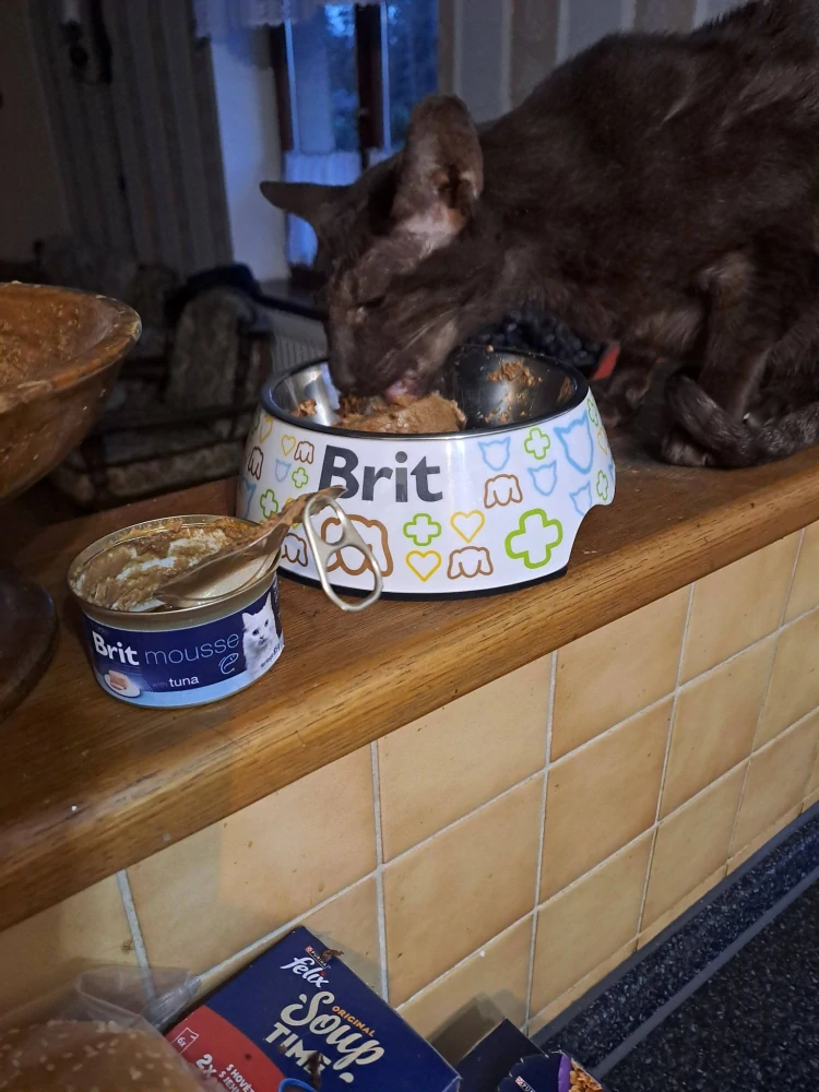 Brit Premium by Nature Cat Mousse konzerva pro kočky tuňák 85 g
