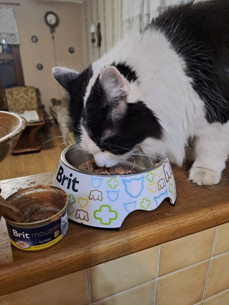 Brit Premium by Nature Cat Mousse konzerva pro kočky krůta 85 g