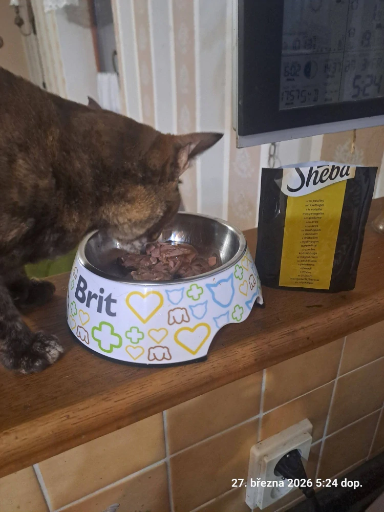 Sheba Delicacy kapsička pro kočky drůbež 85