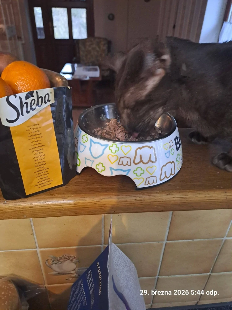 Sheba Delicacy kapsička pro kočky krůta 85 g