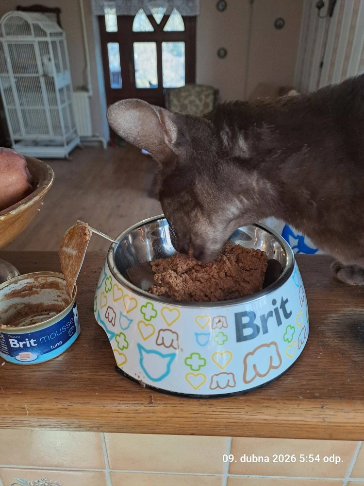 Brit Premium by Nature Cat Mousse konzerva pro kočky tuňák 85 g