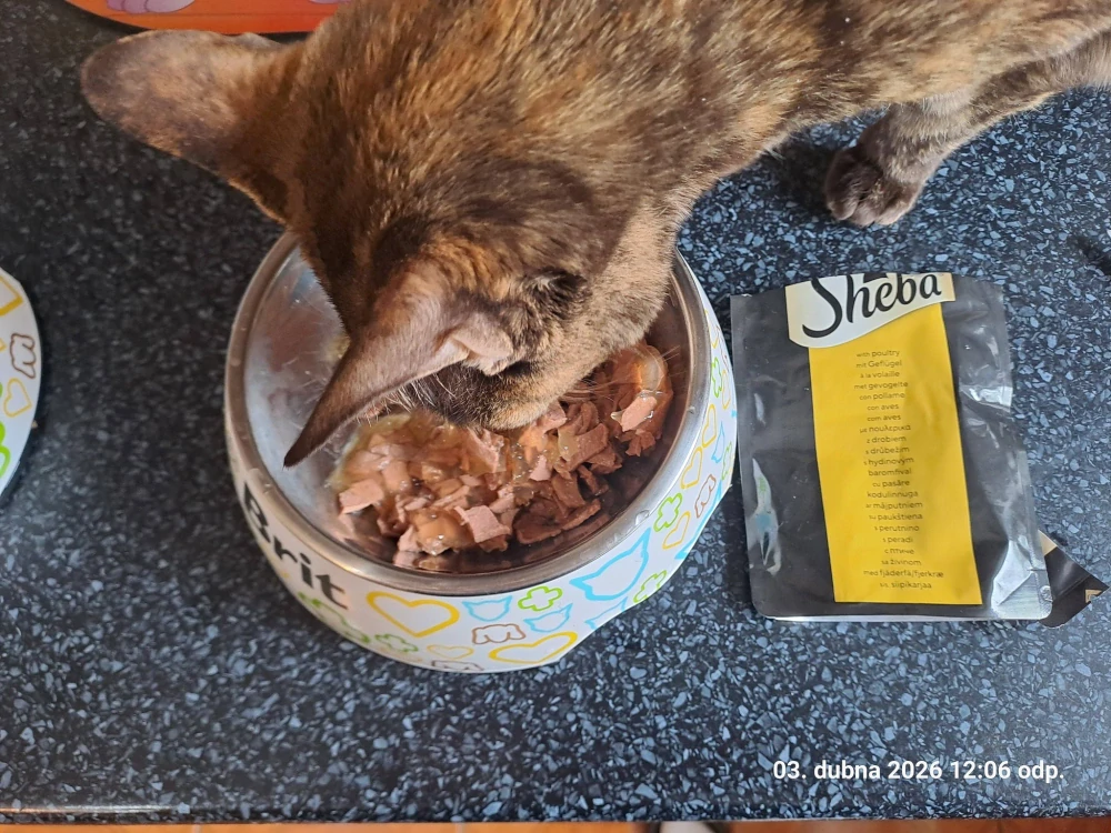 Sheba Delicacy kapsička pro kočky drůbež 85
